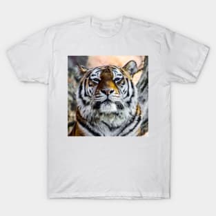 Tiger T-Shirt